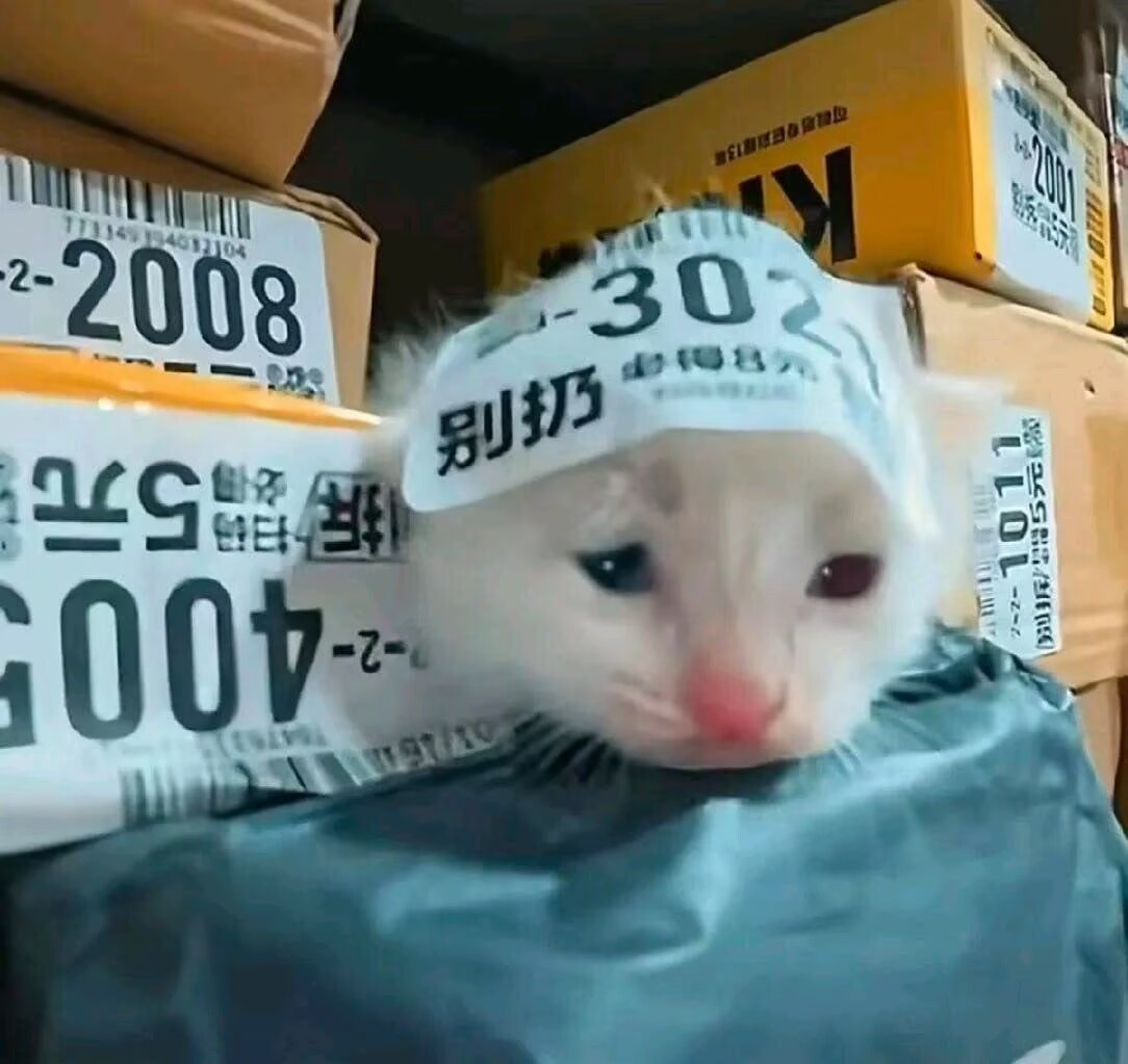 纸箱旁贴着快递标签的小猫